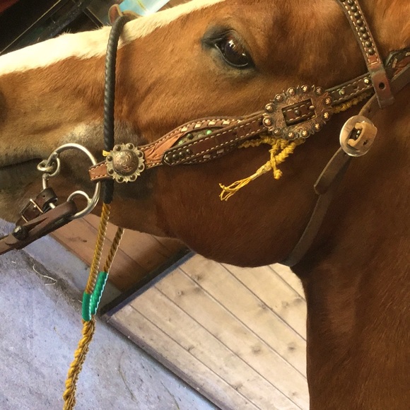 Other - Artisan repurposed horse tack prototype art western project equestrian cowgirl